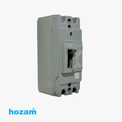 Hozam HZ125N 125A 2-Pole DC Molded Case Circuit Breaker (MCCB) | DC 250V | Heavy-Duty Circuit Protection