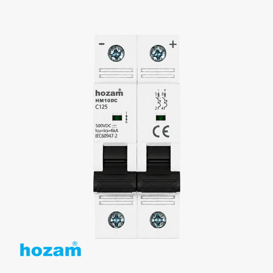 BEP-A-04872 MCB DP 125A DC 500V HM10DC