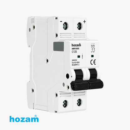 BEP-A-04872 MCB DP 125A DC 500V HM10DC