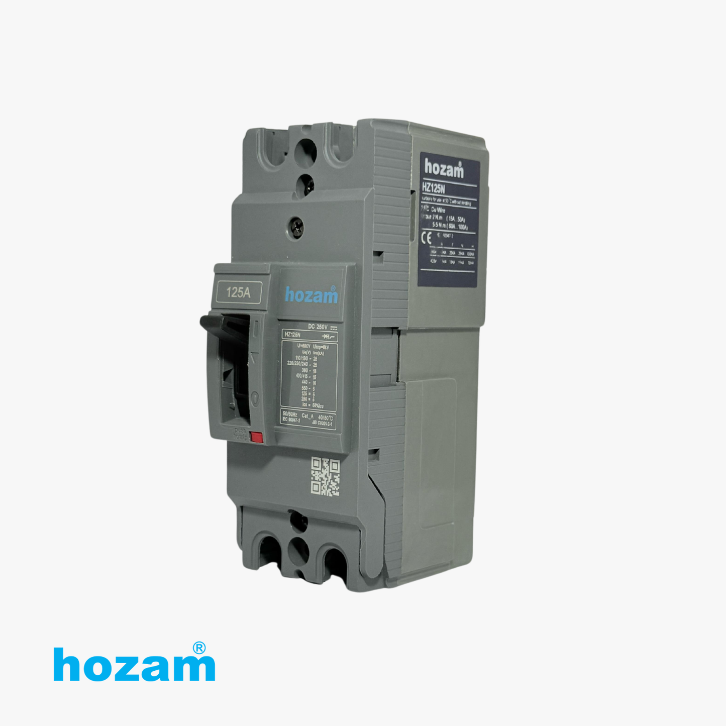 Hozam HZ125N 125A 2-Pole DC Molded Case Circuit Breaker (MCCB) | DC 250V | Heavy-Duty Circuit Protection