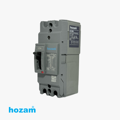 Hozam HZ125N 125A 2-Pole DC Molded Case Circuit Breaker (MCCB) | DC 250V | Heavy-Duty Circuit Protection