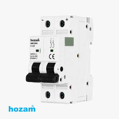 BEP-A-04872 MCB DP 125A DC 500V HM10DC