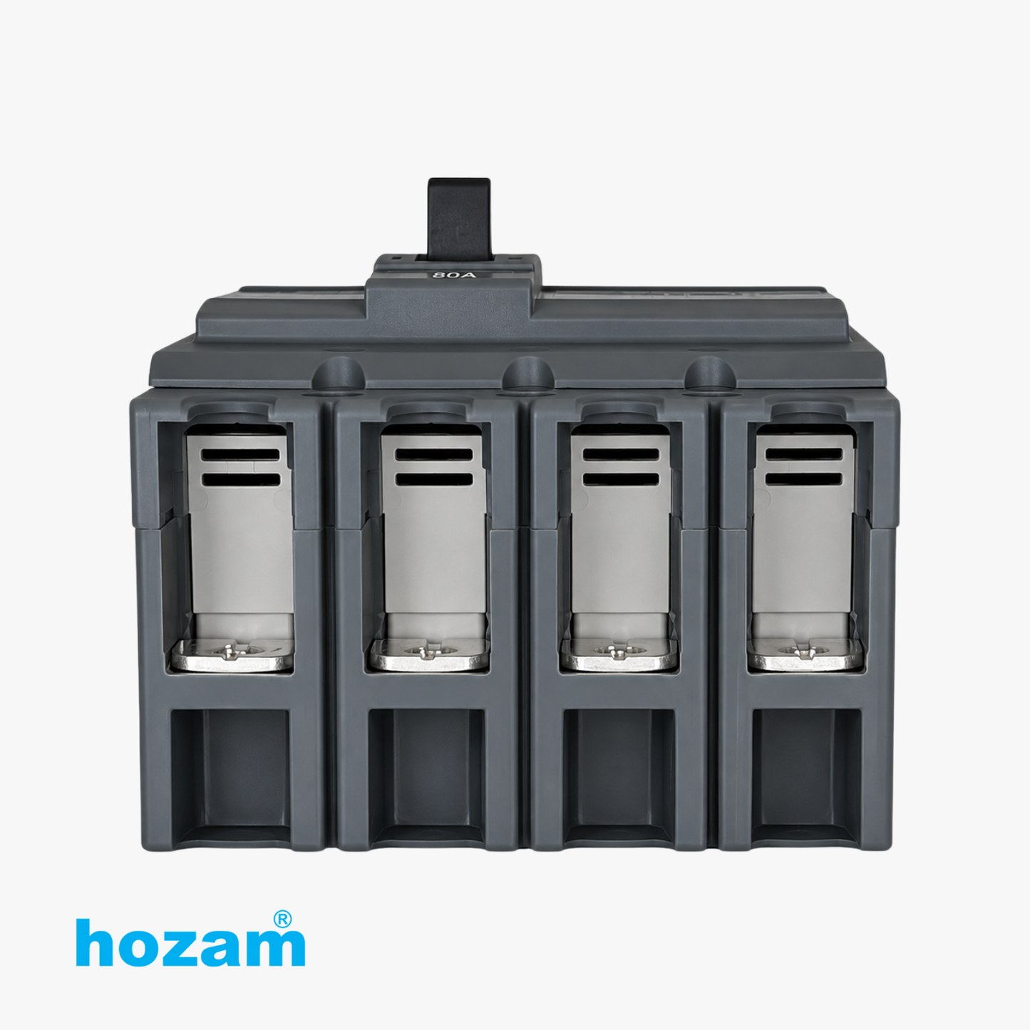 BEP-A-05142 MCCB FP 60A 15kA HZ100N