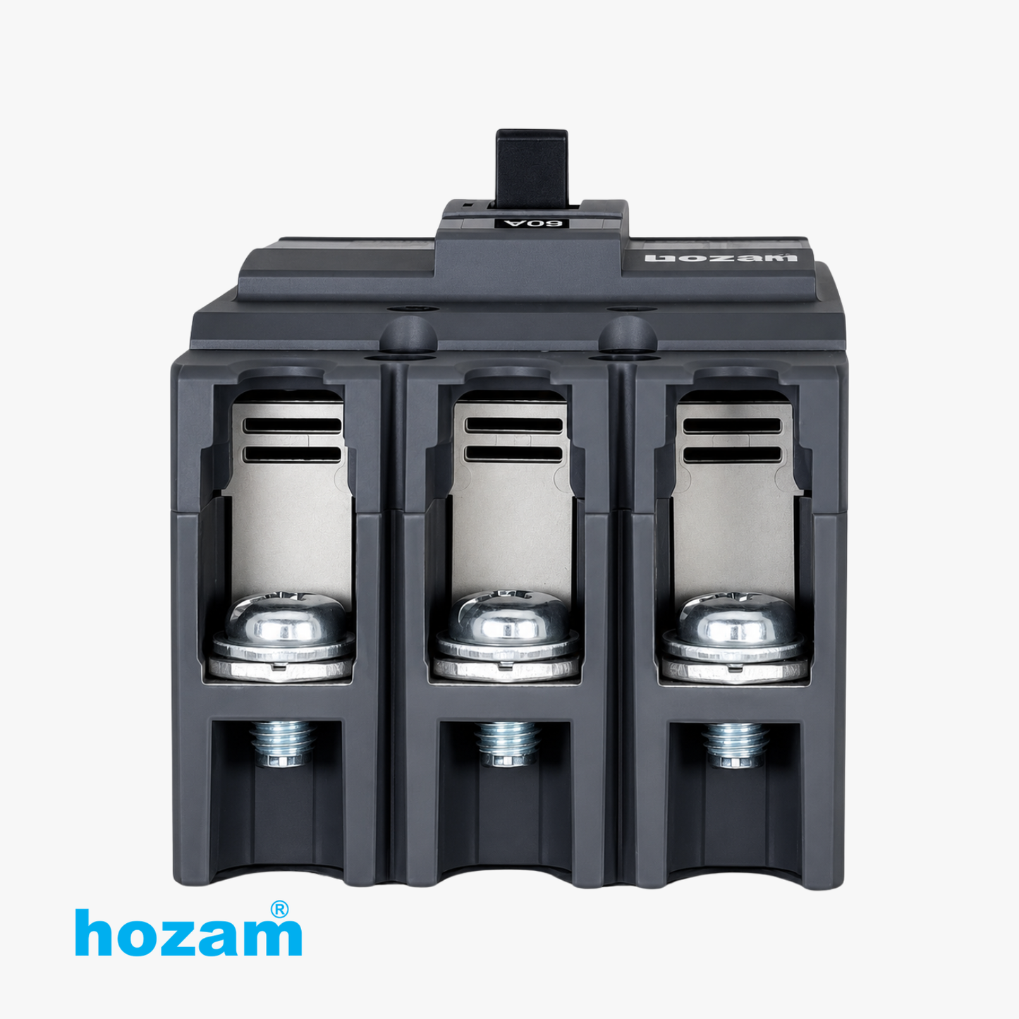 BEP-A-04865 MCCB TP 60A 15kA HZC100N